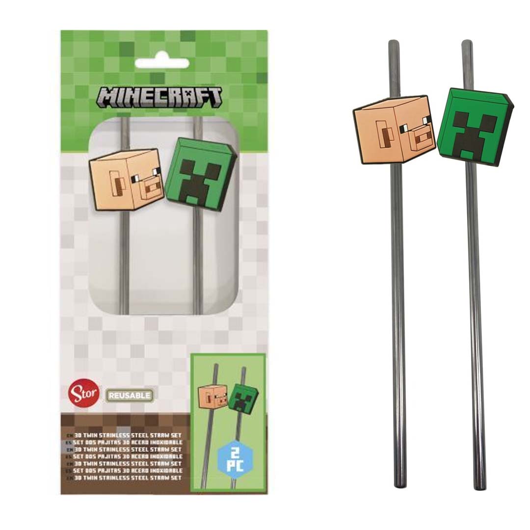 Minecraft- Conjunto de palhinhas Inox